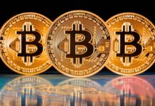 Evolución del blockchain y las criptomonedas en México Criptomonedas en México