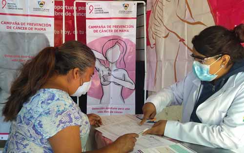 Avon cáncer de mama