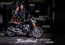 motocicleta Blackbird Italika