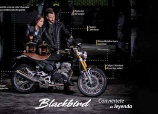 Blackbird, la nueva motocicleta Cafe Racer de Italika motocicleta Blackbird Italika