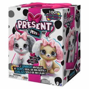unboxing Present Pets