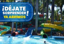 Trivia: Date un chapuzón en Six Flags Hurricane Harbor Oaxtepec reapertura Hurricane Harbor Oaxtepec