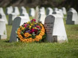 Gayosso ofrece servicio para enviar flores a las tumbas por internet envío de flores Gayosso