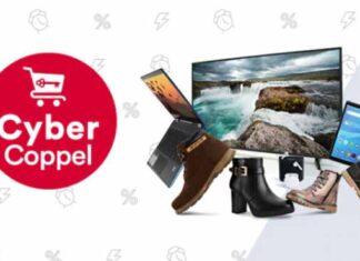 Cyber Coppel