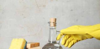 limón bicarbonato Salvo Multiusos