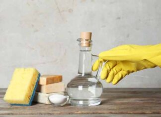 limón bicarbonato Salvo Multiusos