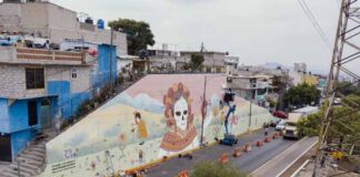 Converse City Forests Día de Muertos