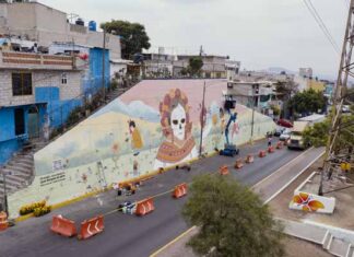 Converse City Forests Día de Muertos