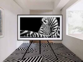 Por 14° vez Samsung lidera el mercado de pantallas en México pantallas Samsung