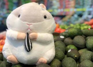 corners Mumuso en Soriana