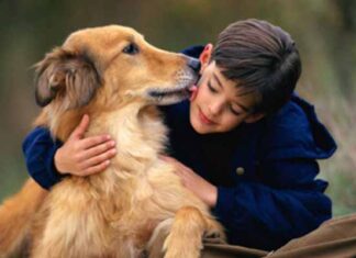 ninos ante muerte de una mascota