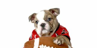 ideas para disfrutar el Super Bowl