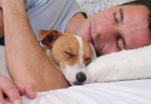 Pros y contras de dormir con tu perro 🐶 dormir con el perro