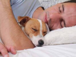 dormir con el perro