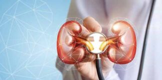 enfermedad renal crónica