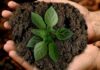 acciones sustentables para cuidar el planeta