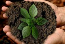 acciones sustentables para cuidar el planeta