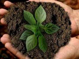 9 acciones sustentables para cuidar nuestro planeta acciones sustentables para cuidar el planeta