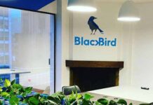 Blackbird vuela más alto gracias a la pandemia Blackbird experiential marketing