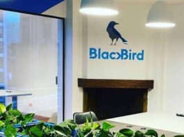 Blackbird vuela más alto gracias a la pandemia Blackbird experiential marketing