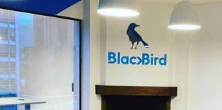 Blackbird experiential marketing