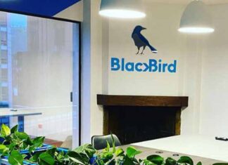 Blackbird vuela más alto gracias a la pandemia Blackbird experiential marketing