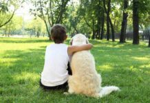 6 beneficios de tener un perro en la vida de un niño autista niño autista convive con perro