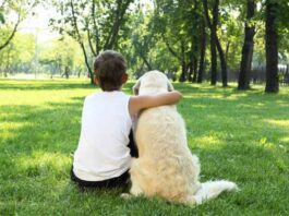 niño autista convive con perro