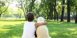 niño autista convive con perro