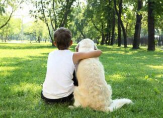 6 beneficios de tener un perro en la vida de un niño autista niño autista convive con perro