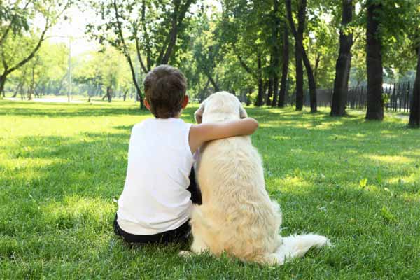 niño autista convive con perro