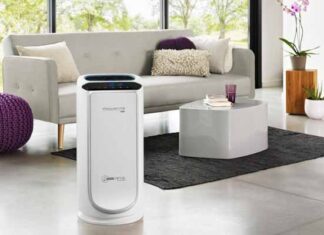 Purificador de aire, el SOS para la alergia estacional purificador de aire previene alergia estacional