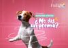 Nuevos lanzamientos de Full Life para premiar y nutrir a tu perro premios Full Life