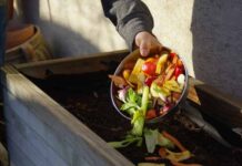 Aprende a transformar los residuos de tus smoothies en composta pasos para hacer composta