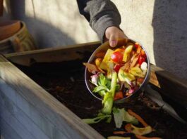 Aprende a transformar los residuos de tus smoothies en composta pasos para hacer composta