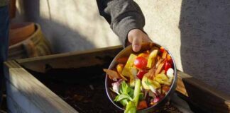 pasos para hacer composta