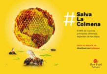 campaña Día Mundial de las Abejas