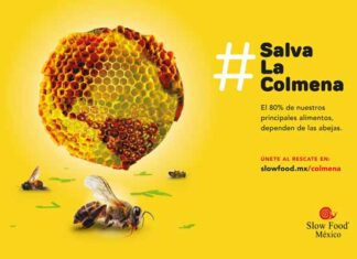 Marketing en el Día Mundial de las Abejas con la campaña #SalvaLaColmena campaña Día Mundial de las Abejas