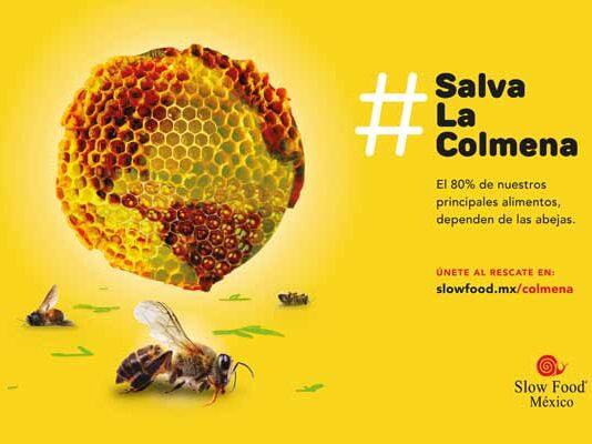 campaña Día Mundial de las Abejas