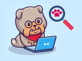 ¿Qué productos y servicios buscan los mexicanos en la web para sus perros? búsquedas sobre perros