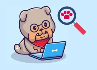 búsquedas sobre perros