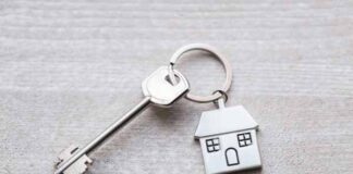 renta de vivienda o local comercial