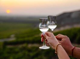 Se realiza Pisco Week LATAM para promover el consumo de pisco en la región Pisco Week Latam 2021