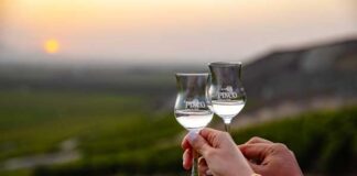 Pisco Week Latam 2021