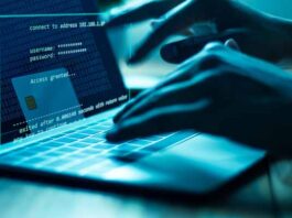 fraude virtual en empresas