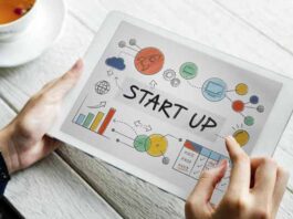 Camellos y Cebras, las startups alternativas a los Unicornios emprendedores Camellos y Cebras