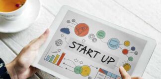 emprendedores Camellos y Cebras