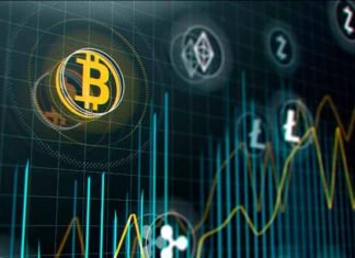 criptomonedas y criptodivisas para invertir