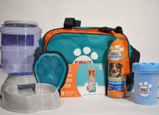 Trivia: Mantén tu mascota protegida con Cloralex Mascotas Cloralex Mascotas