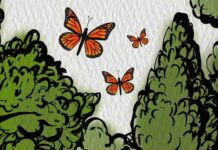 Air Wick protege mariposa monarca